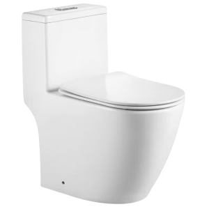 ONE PIECE RIMLESS WATER CLOSET-OttO 6767