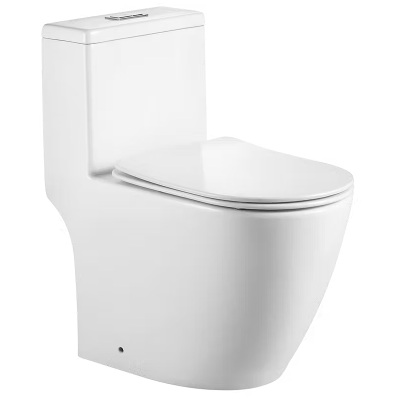 ONE PIECE RIMLESS WATER CLOSET-OttO 6767